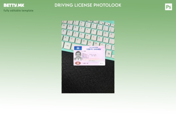 модерен стил Унгарија dl photolook ПРЕДЕН шаблон